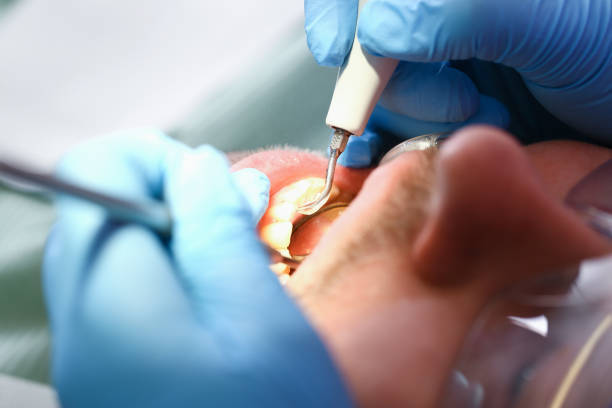 Best Emergency Pediatric Dental Care in River Edge, NJ